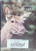 Śladami zwierząt