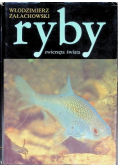 Ryby zwierzęta świata
