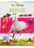 Konie
