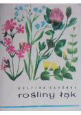Rośliny łąk
