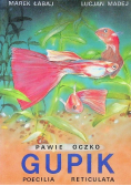 Pawie oczko gupik
