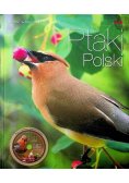 Ptaki Polski Część 2