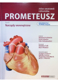 Prometeusz Atlas anatomii człowieka Tom 3 Głowa, szyja i neuroanatomia Nomenklatura łacińska