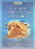 Encyklopedia audiowizualna Britannica Geologia
