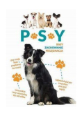 Psy