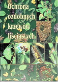 Ochrona ozdobnych krzewów liściastych