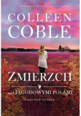 Zmierzch nad jagodowymi polami Tom 3 Nad zatoką