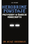 Herobrine powstaje Przygody w świecie Minecrafta