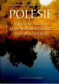 Polesie widziane oczami Marii Rodziewiczówny i jej współziomków