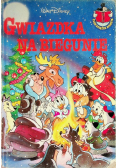 Gwiazdka na biegunie