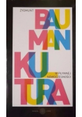 Kultura w płynnej nowoczesności