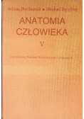 Anatomia człowieka Tom V