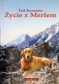 Życie z Merlem