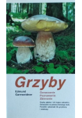 Grzyby