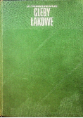 Gleby łąkowe