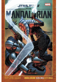 Star Wars The Mandalorian