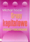 Grupy kapitałowe