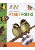 Ptaki Polski