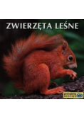 Zwierzęta leśne