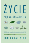 Życie, piękna katastrofa