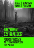 Niezłomni czy realiści? Polskie podziemie antykomunistyczne bez patosu