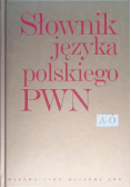 Słownik języka polskiego zestaw 2 książek