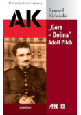 Góra Dolina Adolf Pilch