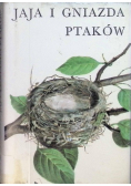 Jaja i gniazda ptaków
