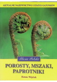 Porosty mszaki paprotniki
