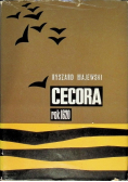 Cecora rok 1620