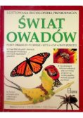 Świat owadów