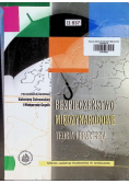 Bezpieczeństwo międzynarodowe teoria i praktyka