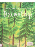 Dziwolągi