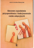 Kluczowe zagadnienia przysposobienia i funkcjonowania rodzin adopcyjnych