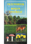 Przewodnk do rozpoznawana rośln  zwerząt na wyceczce