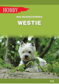 Westie. West highland white terrier