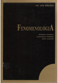 Fenomenologia