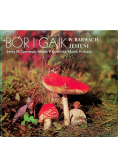 Bór i gaik w barwach jesieni