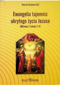 Ewangelia tajemnic ukrytego życia Jezusa Tom 6