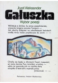 Gałuszka Wybór poezji