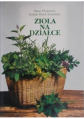 Zioła na działce