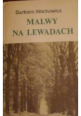 Malwy na lewadach