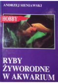 Ryby żyworodne w akwarium