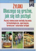Żylaki. Dlaczego są groźne, jak się ich pozbyć  Nr 1/20