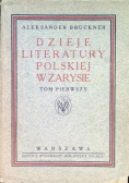 Dzieje literatury polskiej w zarysie Tom I 1924 r.