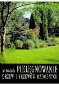 Pielęgnowanie drzew i krzewów ozdobnych