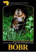 Bóbr