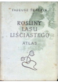 Rośliny lasu liściastego