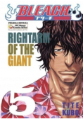 Bleach Rightarm Of Giant Tom 5