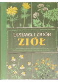 Uprawa i zbiór ziół